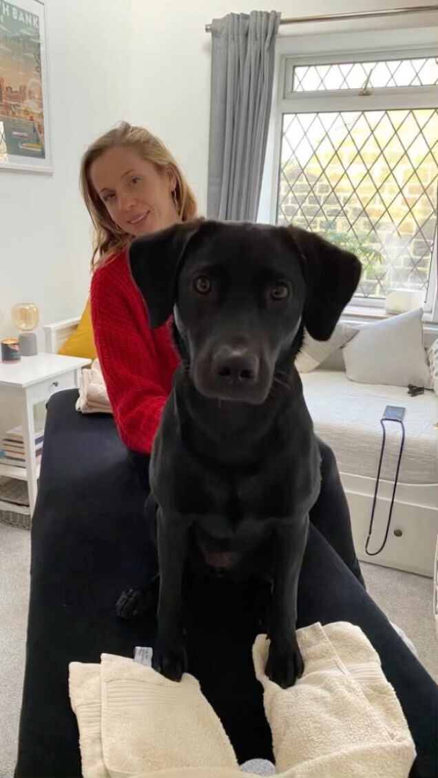 Floss offering herself as a casestudy candidate….not sure that dogs count but I can definitely do cuddles 🥰
@lizzietwells 
.
#massagetherapytraining 
#holisticmassage 
.
.
Yoga classes continue online this week….
.

Monday Slow Flow:   6.30-7.30pm . 
Thursday Vinyasa Flow: 6.30-7.30pm  .
Friday Rise and Refresh Flow: 7.30-8.15am
 
To book: https://kuula.tv/yoga-with-rhona                        
I look forward to seeing you in class soon.  With love  Rhona x

https://www.yogawithrhona.com

.

#wellbeing #yogaforeveryoneathome #yogaonline #yogaanywhereanytime #stressrelease #pettherapydog