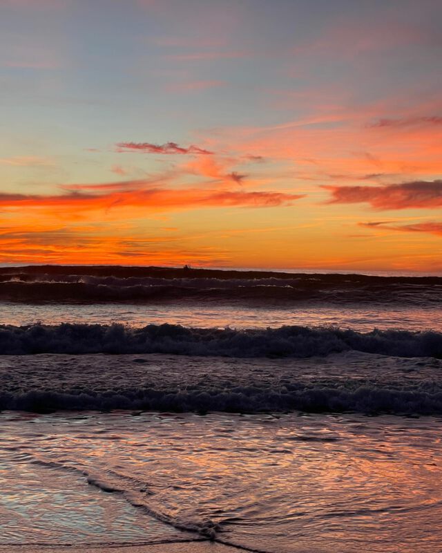Need a break? Want to get away for a while? Enjoy a daily practice of yoga, delicious food, beach walks at sunset and much more on a beautiful retreat in El Palmar, Cadiz, Andalusia. 24-28th May. What are you waiting for? Get in touch for more information.
.
#yogaretreatsandalucia #yogaretreat  #yogaretreatspain #yogaretreatelpalmar  #yogaretreatcadiz #yogaandsurf #yogaretreats2024 #yogaconil #yogaelpalmar #yogaweekend #yogaandglampingretreat #kampaohelpalmar @kampaoh @wild__warrior__yoga @gregorhaddow @anitabsr @samsara_conil